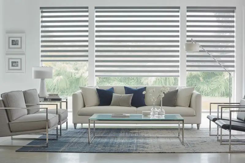 Zebra Blinds for living room
